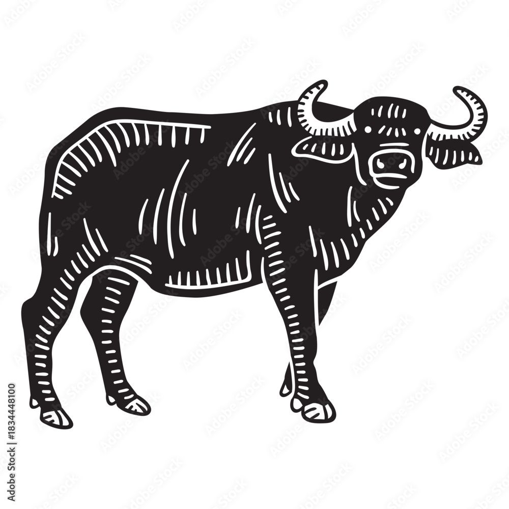 Fototapeta premium Hand drawn african buffalo side