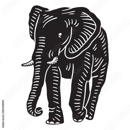 Frontal walking hand drawn elephant