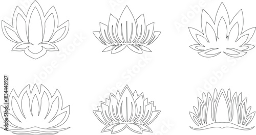 set of lotus flower