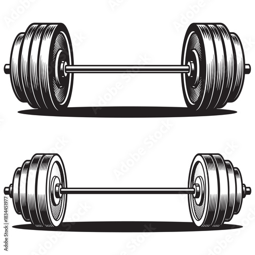 Vintage engraved style barbell illustration set. Hand drawn heavy weight lifting equipment for gym and fitness.