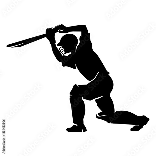 Cricket player pose with bat cut out