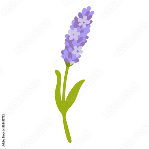 Cute lavender flower flat