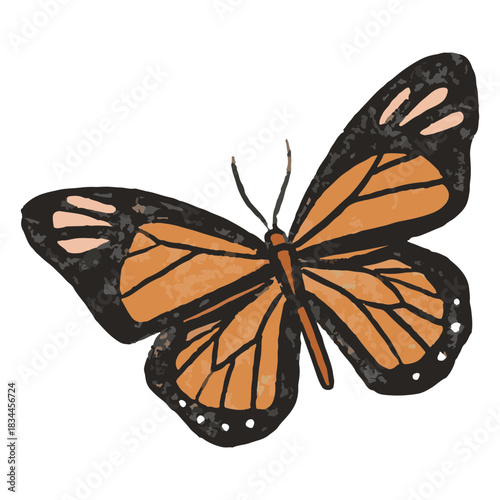 Orange butterfly illustration