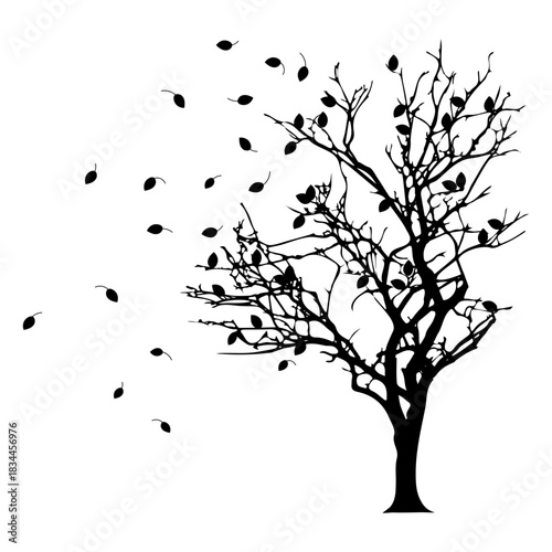 Autumn tree silhouette