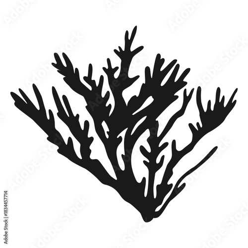 Coral silhouette