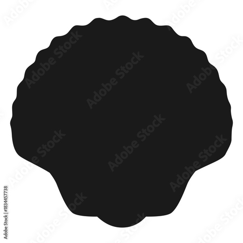 Seashell sea nature silhouette