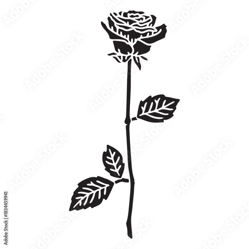 Rose single flower cut out