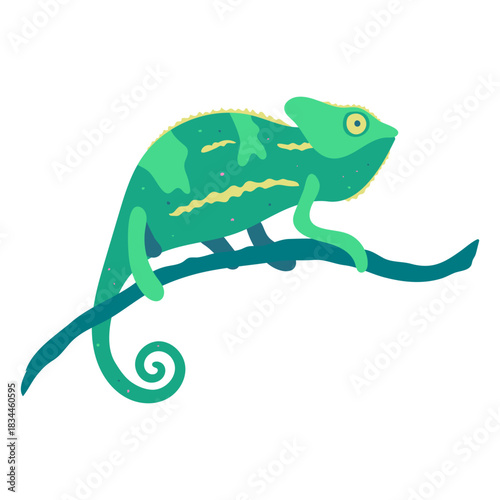 Green chameleon animal nature