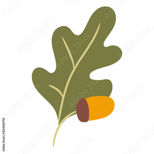 Oak tree leaf and acorn flat