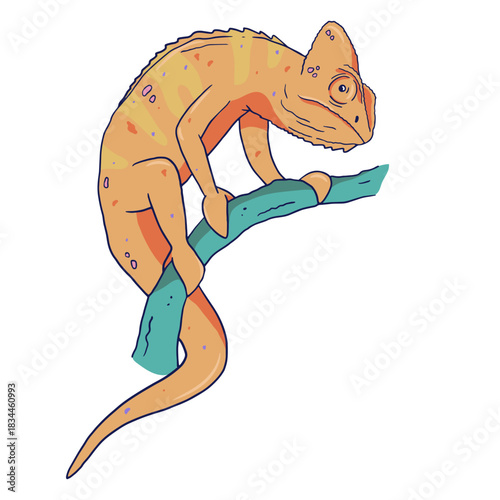 Orange chameleon color stroke
