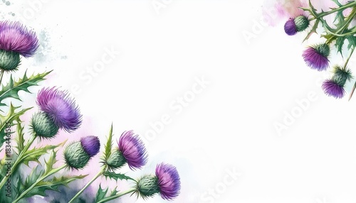 Watercolor thistles with vibrant purple blooms and green spiky leaves on a white background. Delicate brushstrokes create a serene botanical scene.