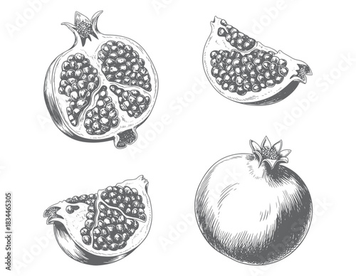 Hand drawn pomegranate collection in vintage engraving style. Vintage botanical pomegranate set with seeds and whole fruit.