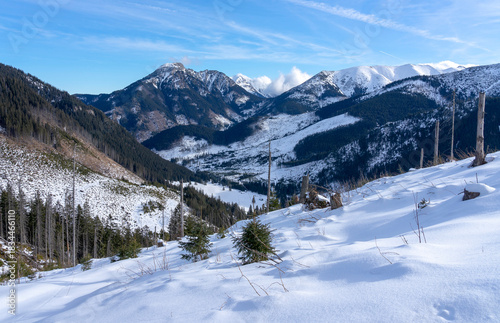 Fototapeta Naklejka Na Ścianę i Meble -  Western Tatra in winter. View of Chocholowska Glade.