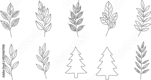 Hand Drawn Christmas and Winter Elements Trees Wreaths and Branches in a Simple Black and White Style