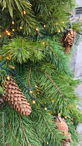 Close-up of green pine branches decorated with warm fairy lights and natural pinecones. Festive Christmas greenery creating a cozy winter holiday atmosphere