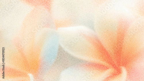 Colorful plumeria flowers softly glowing in natural light