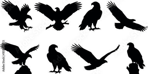 Eagle Silhouettes in Flight and Perching Poses, Wildlife Vector Icons for Nature, Design Projects - flavector
