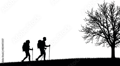 Hikers silhouette, backpacks, hiking poles, grassy terrain, leafless tree, outdoor adventure, nature walk, black illustration – flavector