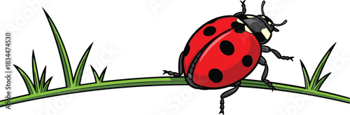 Bright red ladybug with black spots climbs a green blade of grass