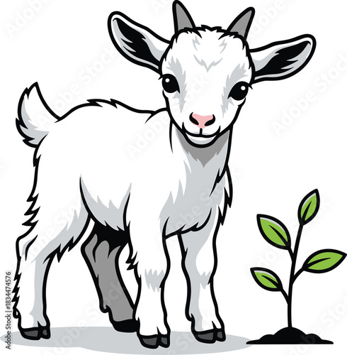 Adorable white baby goat standing next to a small green plant