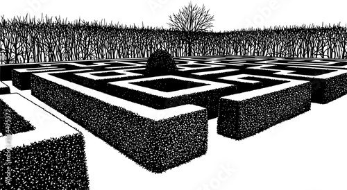 Boxwood shrubs forming a maze pattern in a winter garden, vector illustration art
