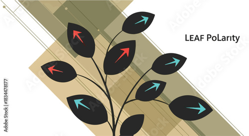 Abstract illustration of a plant with leaves showing directional arrows, symbolizing polarity or contrast.