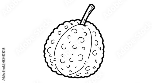 Black and white line art drawing of a single lychee fruit.