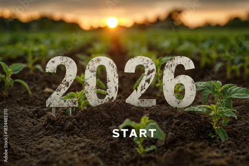 Successful new year begins with growth in a vibrant field at sunset