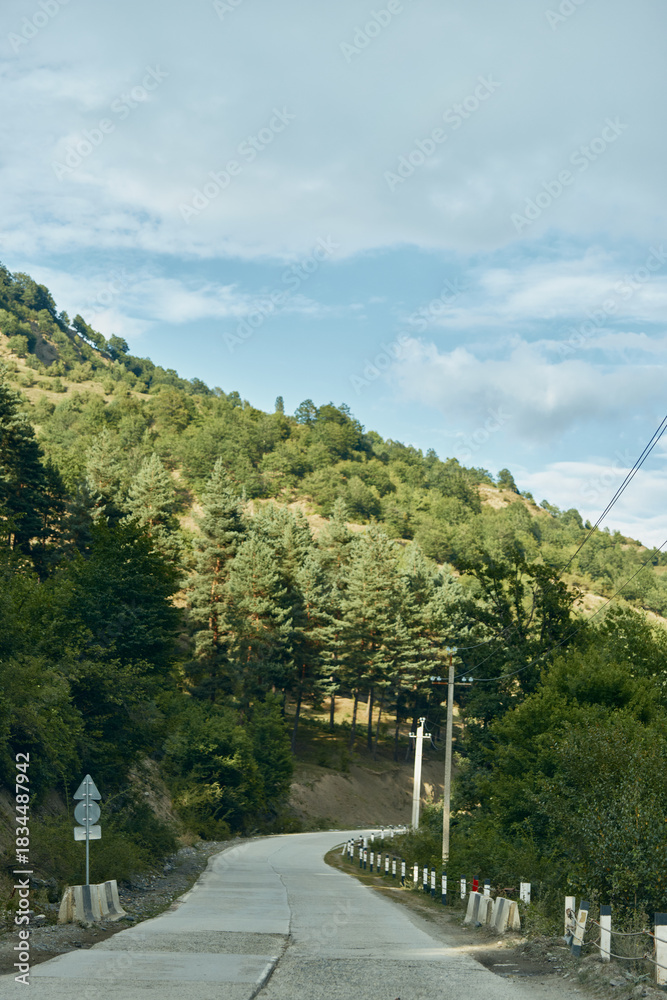 Fototapeta premium Road forest mountain nature trees rural winding sky, country road curves through green hills and pine forest under cloudy sky authenticity inclusivity peaceful travel