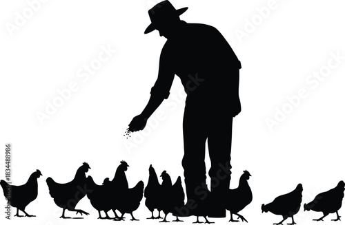 Silhouette of farmer feeding chickens representing poultry farming, animal husbandry, farm life, rural livelihood, and domestic agriculture work