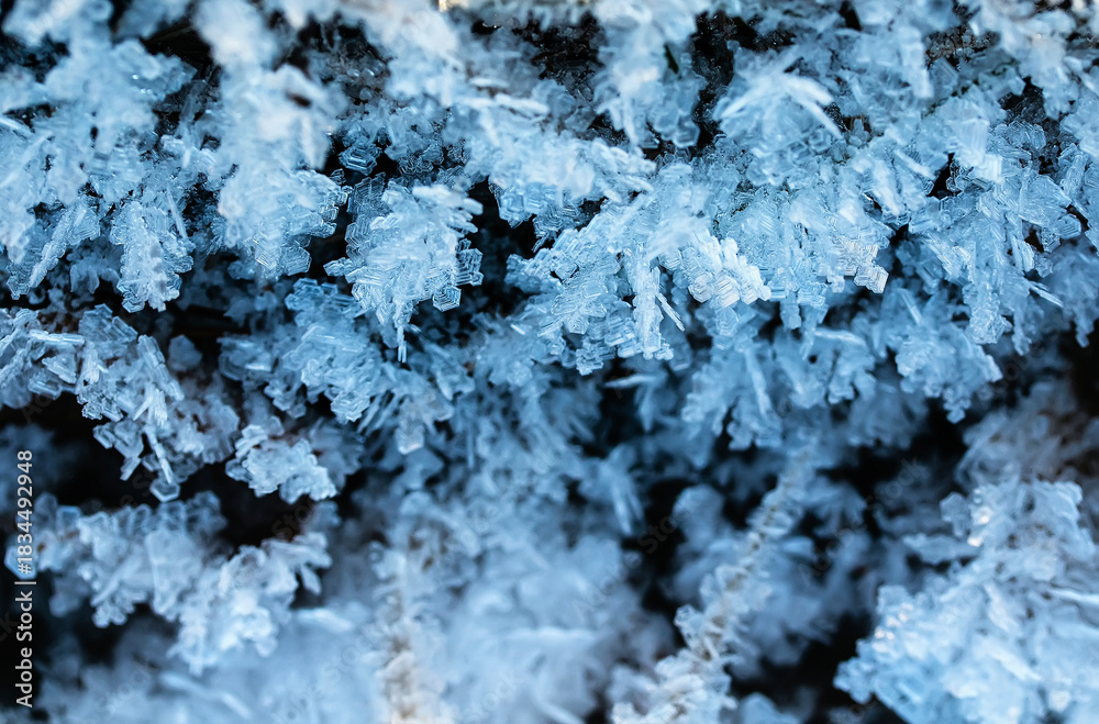 Fototapeta premium Landscape with shiny crystals of cold transparent blue hoarfrost covering the ground in autumn park