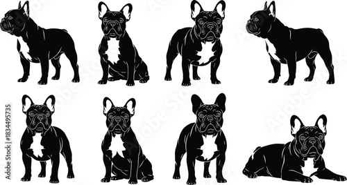 French Bulldog silhouettes, dog vector set, pet clipart, black dog icons, sitting standing lying poses, breed illustration