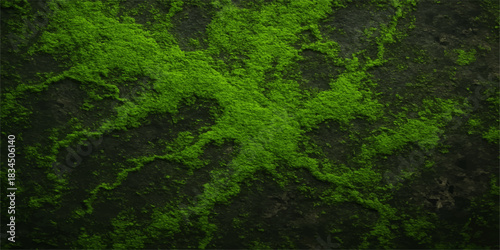 Closeup texture of vibrant green moss and abstract plant patterns growing on a wet stone in a forest garden