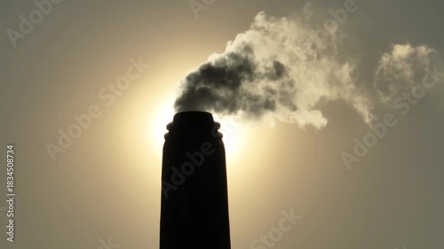 Thick smoke bursts from a brickfield chimney under the blazing sun, filling the sky and quietly harming nearby habitats, showing the harsh impact of industrial pollution.