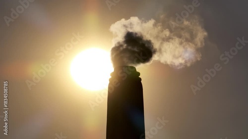 Thick smoke bursts from a brickfield chimney under the blazing sun, filling the sky and quietly harming nearby habitats, showing the harsh impact of industrial pollution.