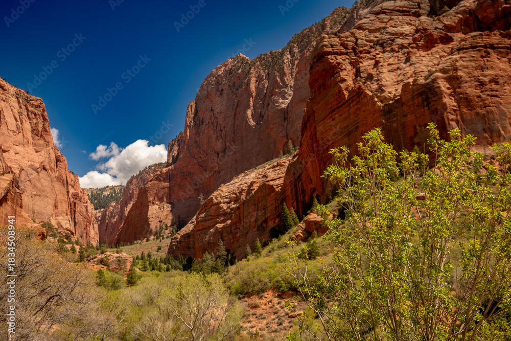 Fototapeta premium zion