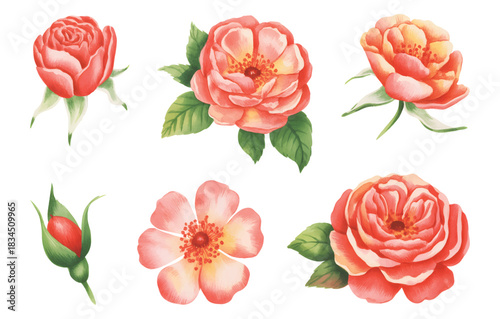 Wallpaper Mural Red roses watercolor with soft green leaves. Elegant red roses painted in watercolor style. Torontodigital.ca