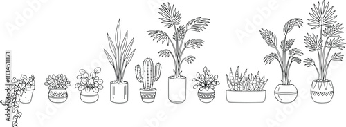Potted plant line art, indoor greenery, botanical sketch, vector outline, CAD drawing, flat illustration, home decor, plant variety