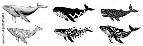 Collection of Stylized Whale Illustrations Featuring Tribal Geometric and Tech Circuit Designs of Sea Animal Silhouettes