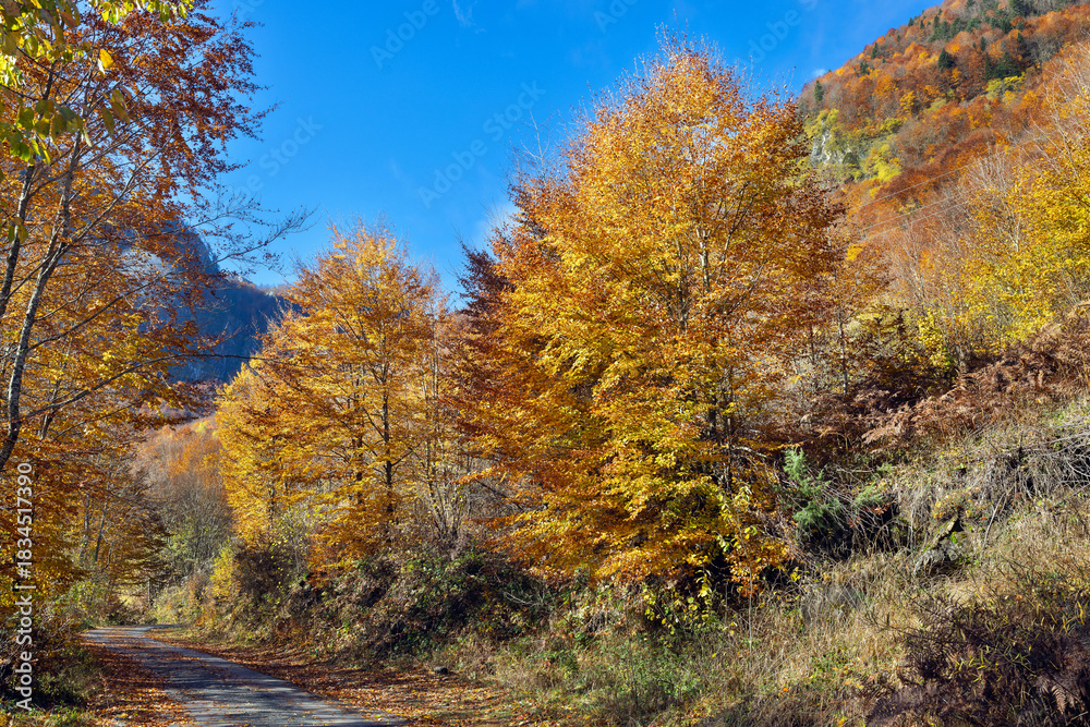 Fototapeta premium Beautiful autumn landscape in Prokletije National Park