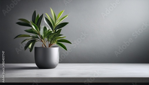 gray slab table with a potted plant empty for background design copy space