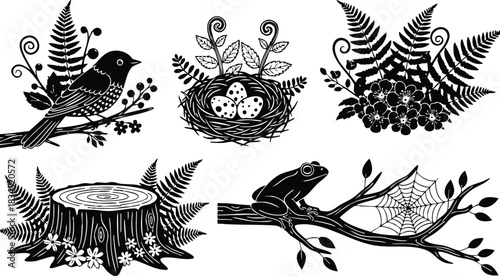 Vintage woodcut botanical vector set featuring close-up bird perched looking right, speckled eggs in nest, frog on branch with spider web, fern clusters and tree stump