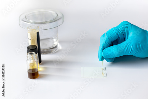 A scientist applies sample solution onto a Thin Layer Chromatography (TLC) plate using a capillary tube for laboratory analysis and separation.