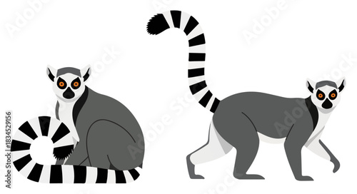 Ring Tailed Lemur Pair – Madagascar Primate Animal Vector Set