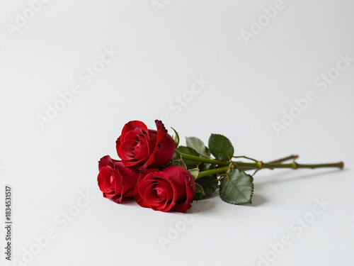 Three red roses on clean white background, elegant romantic floral composition for Valentine themes