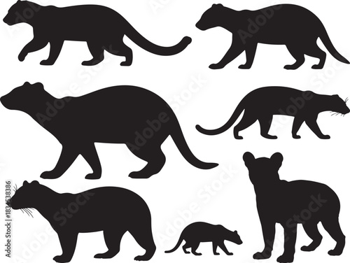 Fossa Silhouettes