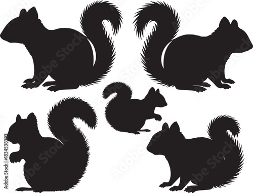 Fox Squirrel Silhouettes