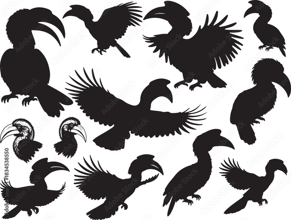 Naklejka premium Hornbill Silhouettes