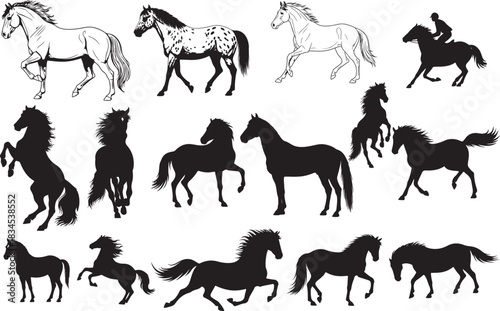 Horse Silhouettes