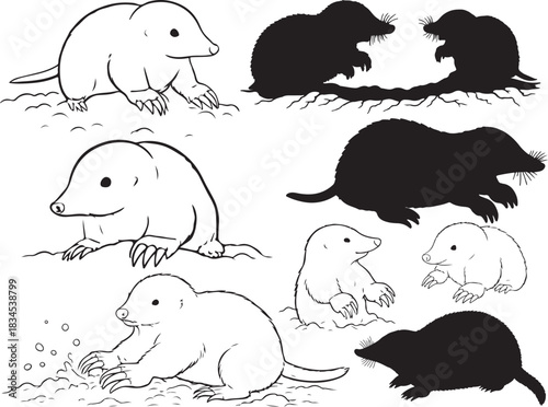 Mole Rat Silhouettes